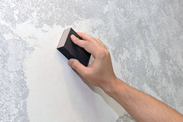 Best Crawl Space Mold Remediation  in Daphne, AL