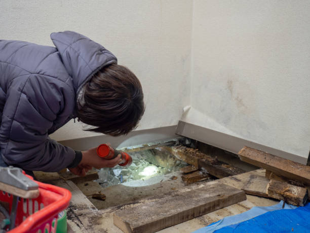 Best Dehumidification Services  in Daphne, AL
