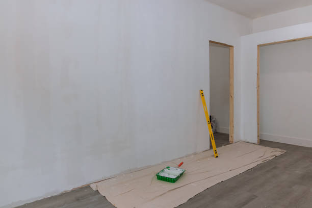 Best Post-Construction Mold Inspection  in Daphne, AL