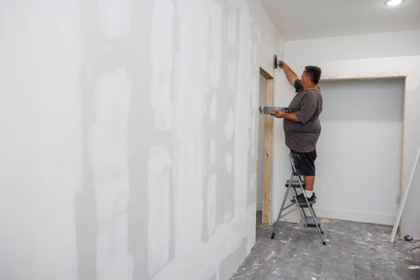 Best Post-Construction Mold Inspection  in Daphne, AL
