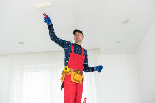 Best Comprehensive Air Testing for Mold Contaminants  in Daphne, AL