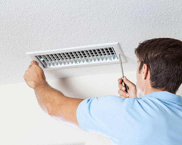 Best Environmental Consulting for Mold Prevention  in Daphne, AL