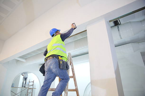 Best Mold Removal for HVAC Installations  in Daphne, AL