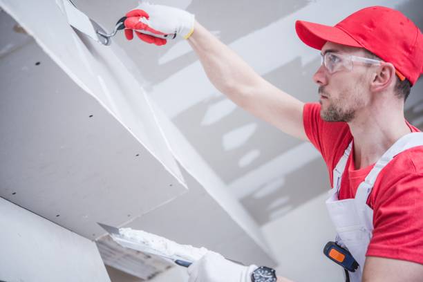 Best Commercial Mold Inspection  in Daphne, AL